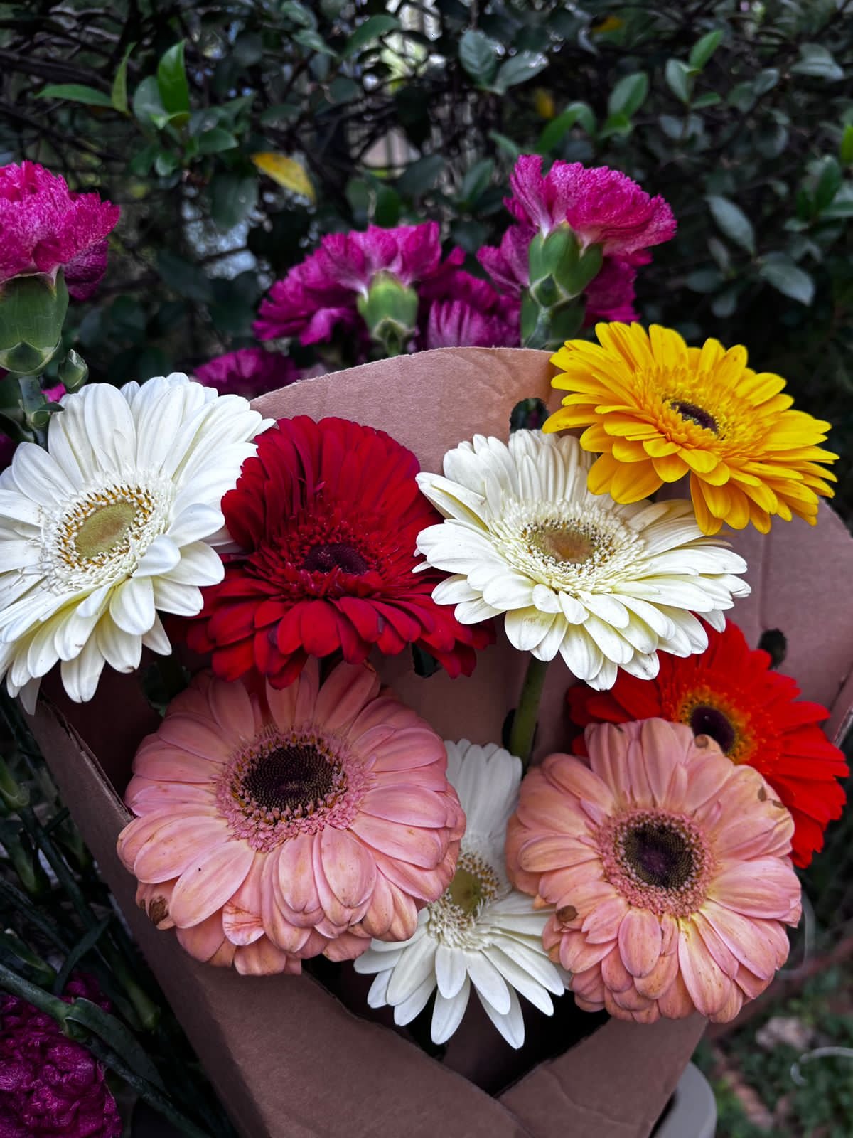 Flores del vivero
